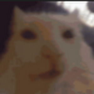 Meet your Posher, Jackson